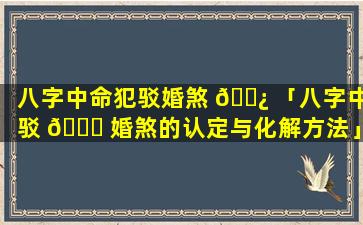 八字中命犯驳婚煞 🌿 「八字中驳 🐒 婚煞的认定与化解方法」